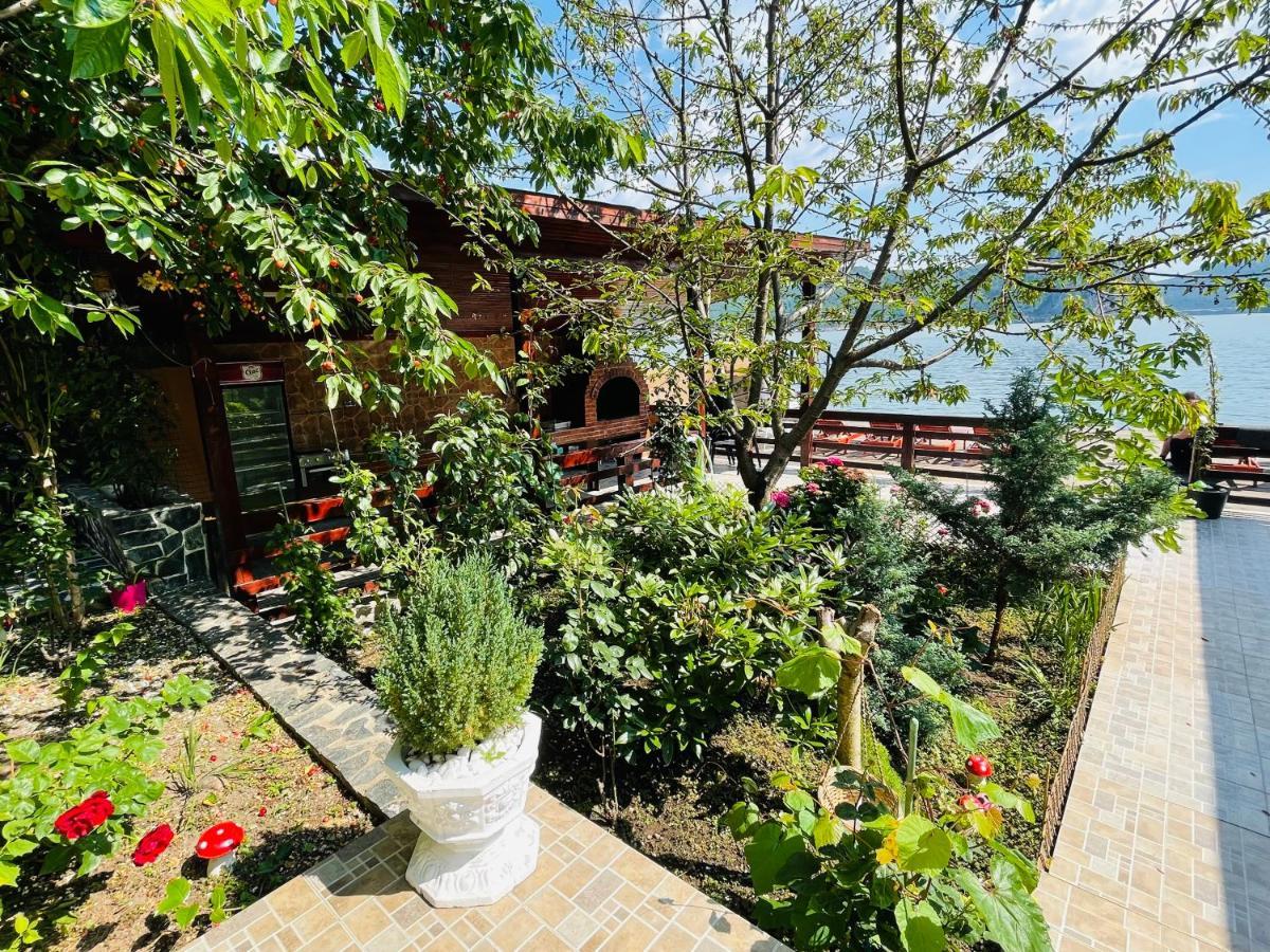ホテル Casa Camelia ドゥボバ エクステリア 写真